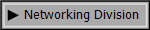 Networking Division